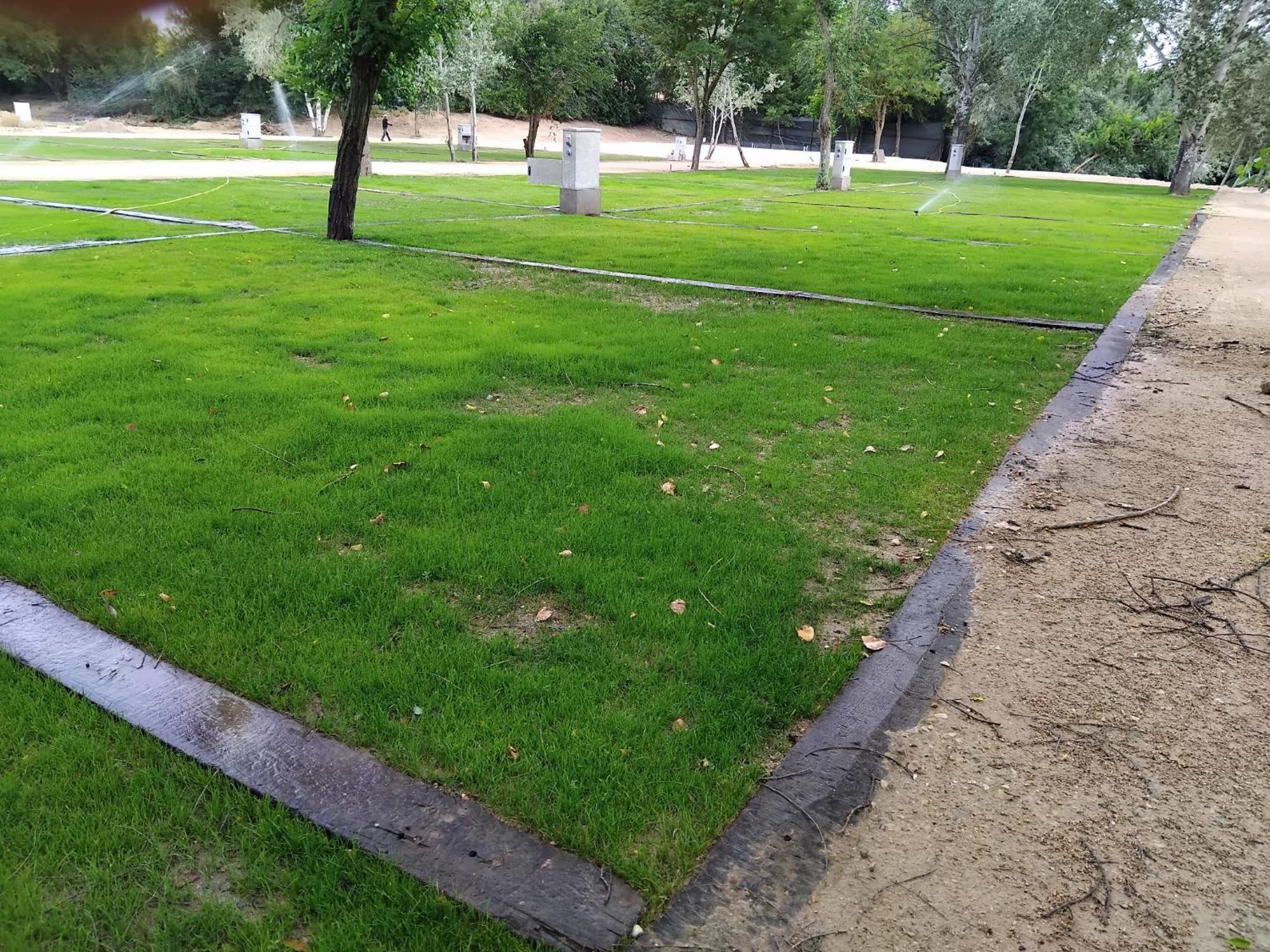 Complejo La Cigueena Arganda Del Rey Eksteriør billede